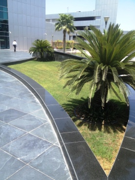 Corporate Garden
